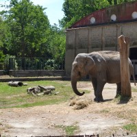 Zoo di Napoli