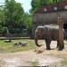 Zoo di Napoli