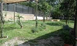 giardino1